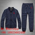 Wholesale Abercrombie&Fitch sport suit AF tracksuit AF Men sweater best price 12