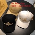 Wholesale          AAA caps  top quality          caps hats  with boxes 19