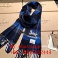 Wholesale          AAA scarf  top quality          scarf  with boxes 14