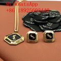 Wholesale TOP 1:1     jewelry     earring     necklace     brooch 2