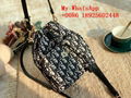 Wholesale TOP1:1 DIO handbags DIO