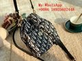 Wholesale TOP1:1 DIO handbags DIO Handbags DIO  Leather Bags