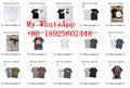 Wholesale 2022 latest     -shirt  Man & Women  t-shirts     hirt Best price 7