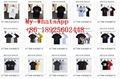 Wholesale 2022 latest     -shirt  Man & Women  t-shirts     hirt Best price 19