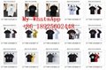 Wholesale 2022 latest LV T-shirt  Man & Women  t-shirts LV shirt Best price
