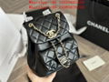 2023  The Newest TOP1:1 CL Handbags CL Leather Bags best price 14