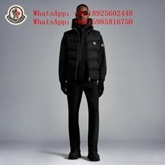 2023 Newest Wholesale Down Jacket         jacket vest original quality 