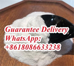 Buy best price Phenacetin shiny powder China suppliers