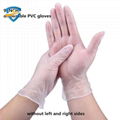 Disposable Vinyl Gloves 1