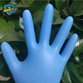 Protective Powder Free Disposable Gloves 1