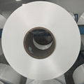 Direct selling 45D/8F semi-light polyamide filament yarn 2