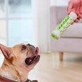 High Quality Dental Oral Care Dog Chew Toys for Aggressive Chewers 4