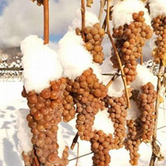 Brandy Blanc Ice wine Verdal