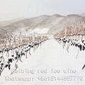 Vidal ice wine 5