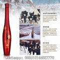 Ice Grape Wine 2