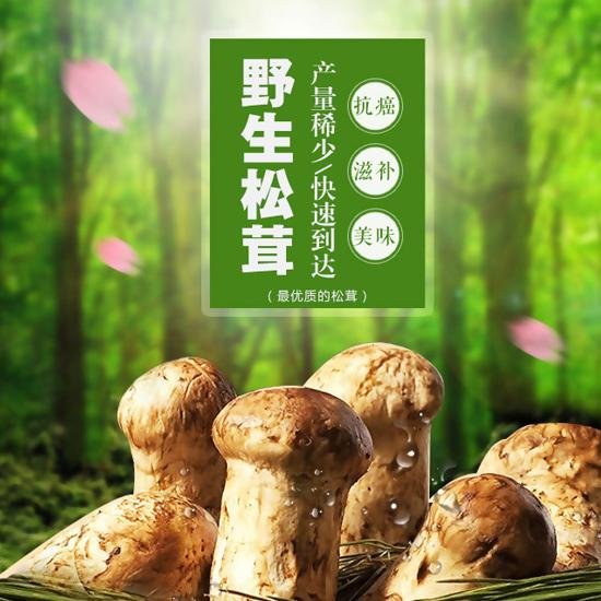 松茸口磨 松茸蘑菇 2