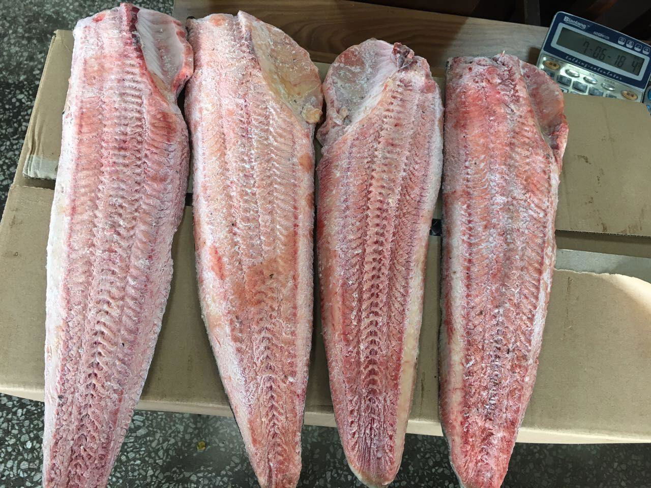  Frozen Catfish Fillet