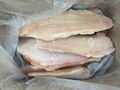  Frozen Catfish Fillet 2