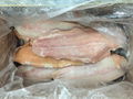  Frozen Catfish Fillet 3