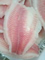 Frozen Tilapia Fillet Shallow Skinless 3