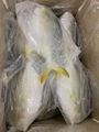 Frozen Golden Pompano whole round