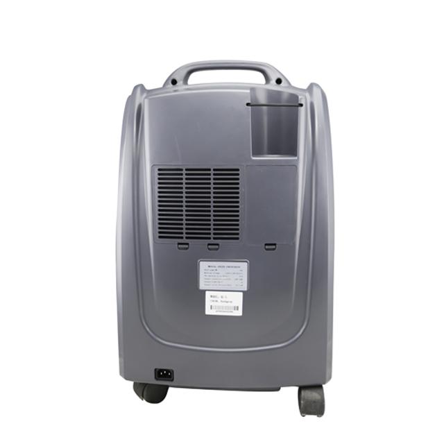 5L Oxygen Concentrator for COVID19 treatment AE5 Aerti (China