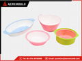 double color mould 2