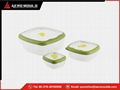 double color mould 5