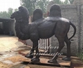 Bronze camel sculpture