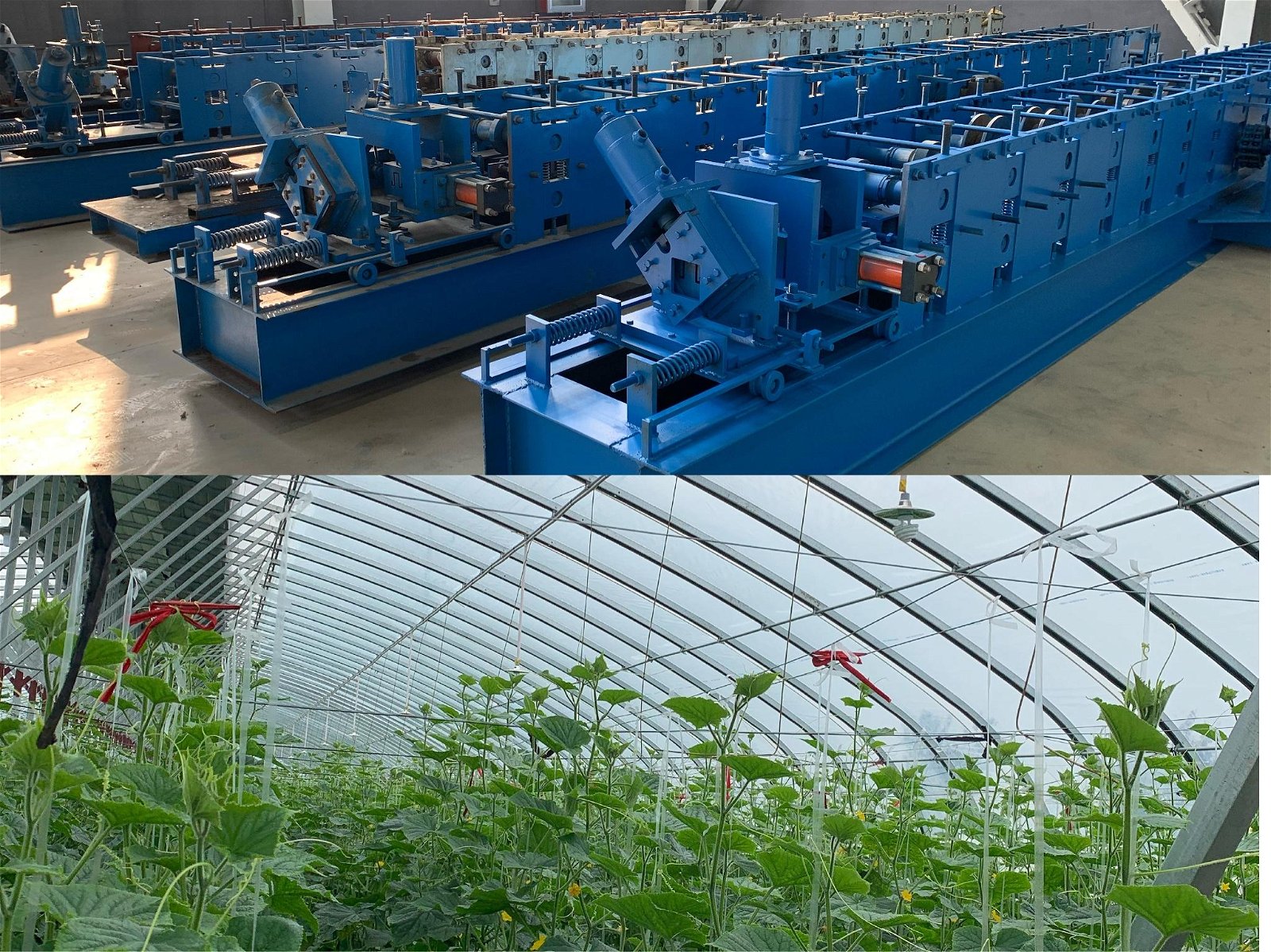 Cavey special steel equipment production greenhouses a few words 4