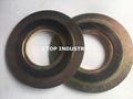 SPW gasket CGI type 3