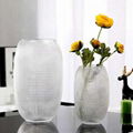 Home Decoration Glass Vase 4