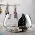 Glass Fish Bowl 3