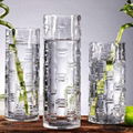 Clear glass decoration flower vase 4