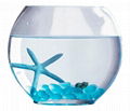 GLASS FISH BOWL 3