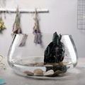 GLASS FISH BOWL