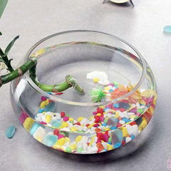 Glass Fish Bowl