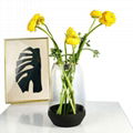 Home decoration glass vase 5