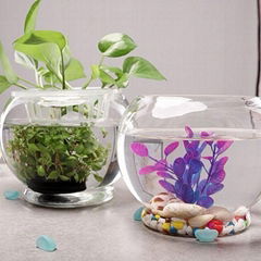 Glass Fish Bowl