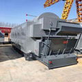 12ton High Efficiency Industrial Coal