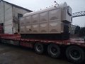 Low Consumption Single Drum Horizontal Wood Chips Steam Boiler for Heating  4