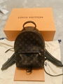 Louis Vuitton Palm Springs PM Backpack Buy luxury bags New Arrivals best sale