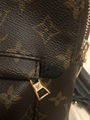 Louis Vuitton Palm Springs PM Backpack Buy luxury bags New Arrivals best sale