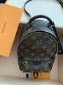 Louis Vuitton Palm Springs Mini Backpack Brand New