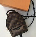 Louis Vuitton Palm Springs Backpack Mini Monogram Small Bag M44873