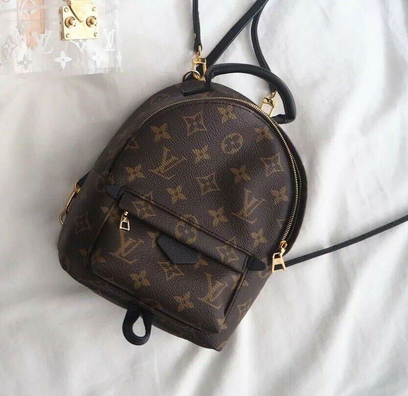 Louis Vuitton Palm Springs Backpack Mini Monogram Small Bag M44873