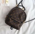 Louis Vuitton Palm Springs Backpack Mini Monogram Small Bag M44873