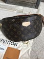 Louis Vuitton Monogram Bumbag FannyPack Shoulder Bag Cross Body M43644 bag cheap