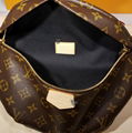 Louis Vuitton Monogram Bumbag FannyPack Shoulder Bag Cross Body M43644 bag cheap