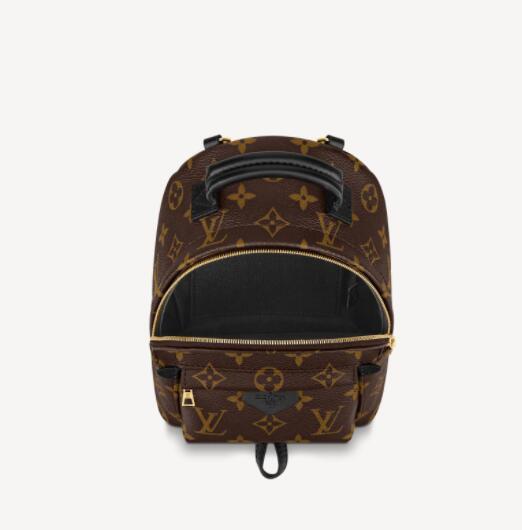 Louis vuitton palm springs mini monogram backpack